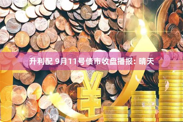 升利配 9月11号债市收盘播报: 晴天
