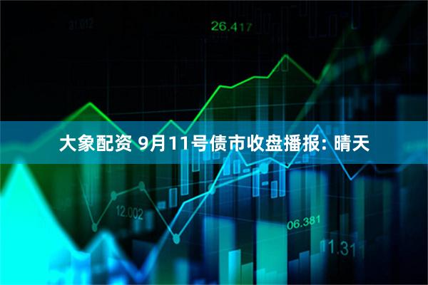 大象配资 9月11号债市收盘播报: 晴天