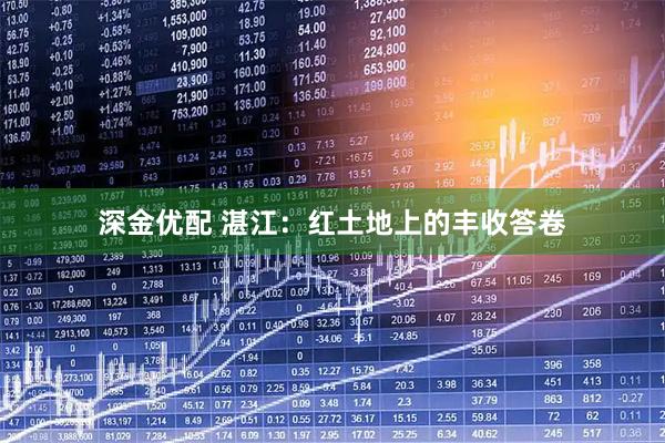 深金优配 湛江：红土地上的丰收答卷