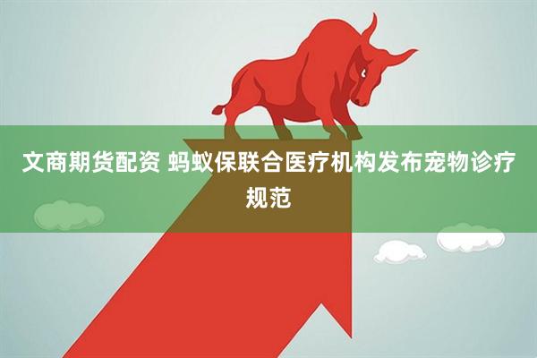 文商期货配资 蚂蚁保联合医疗机构发布宠物诊疗规范