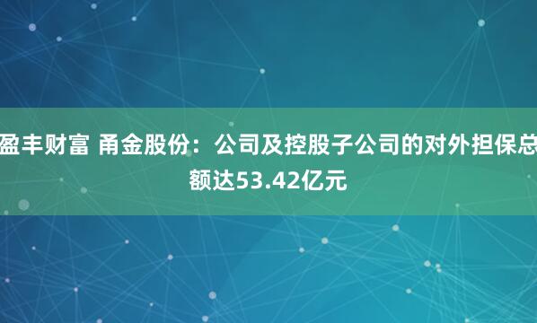 盈丰财富 甬金股份：公司及控股子公司的对外担保总额达53.42亿元